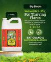 Fox Farm Big Bloom Liquid Plant Food - Pint