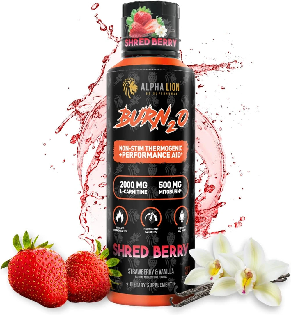 ALPHA LION Burn2O L-Carnitine Liquid 2000mg, Premium Liquid Fat Burner &amp; Pre-Workout Supplement for Men &amp; Women - ShredBerry