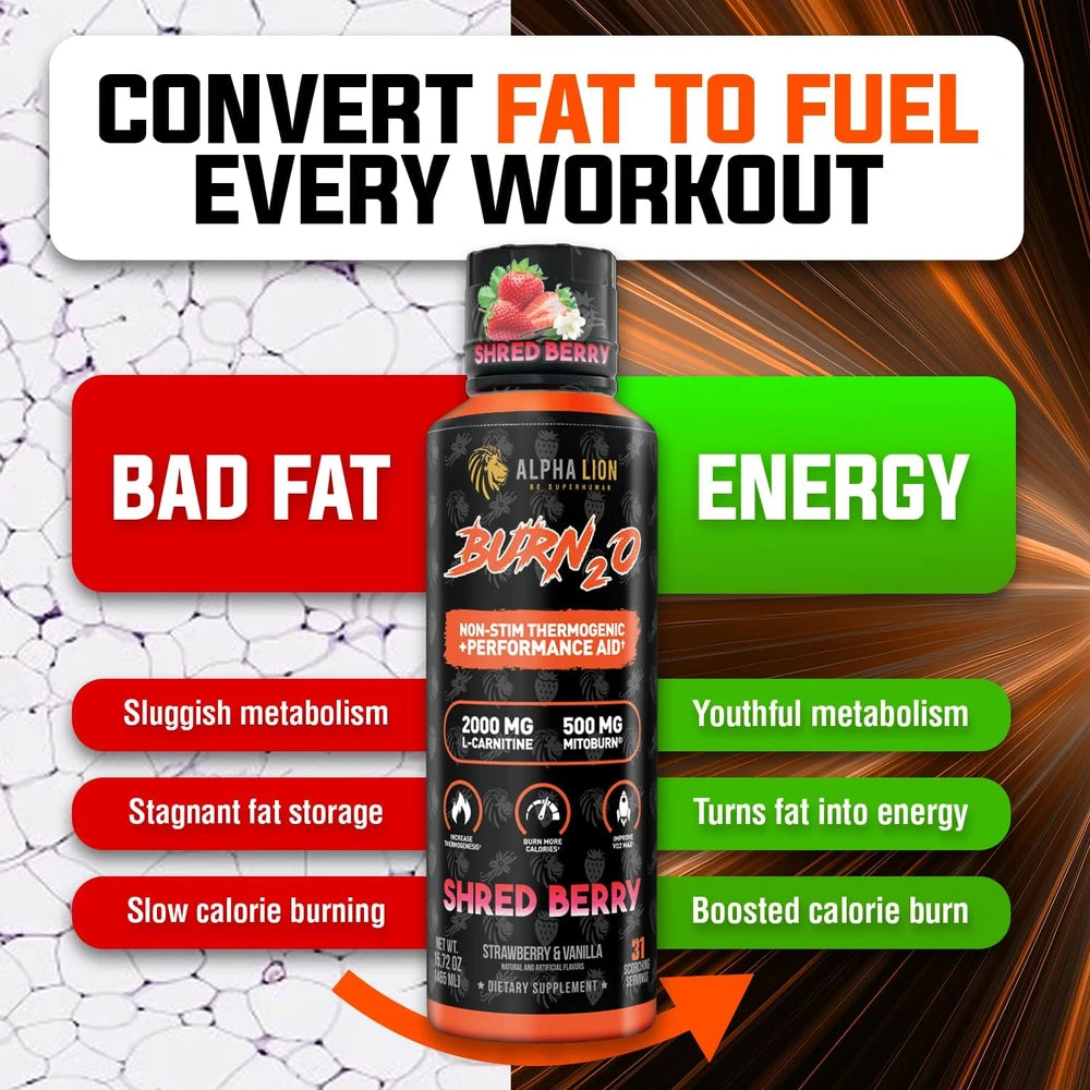 ALPHA LION Burn2O L-Carnitine Liquid 2000mg, Premium Liquid Fat Burner &amp; Pre-Workout Supplement for Men &amp; Women - ShredBerry