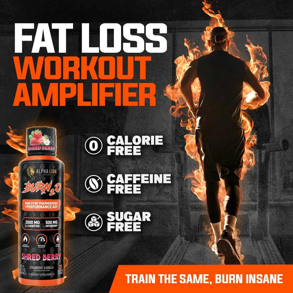 ALPHA LION Burn2O L-Carnitine Liquid 2000mg, Premium Liquid Fat Burner &amp; Pre-Workout Supplement for Men &amp; Women - ShredBerry