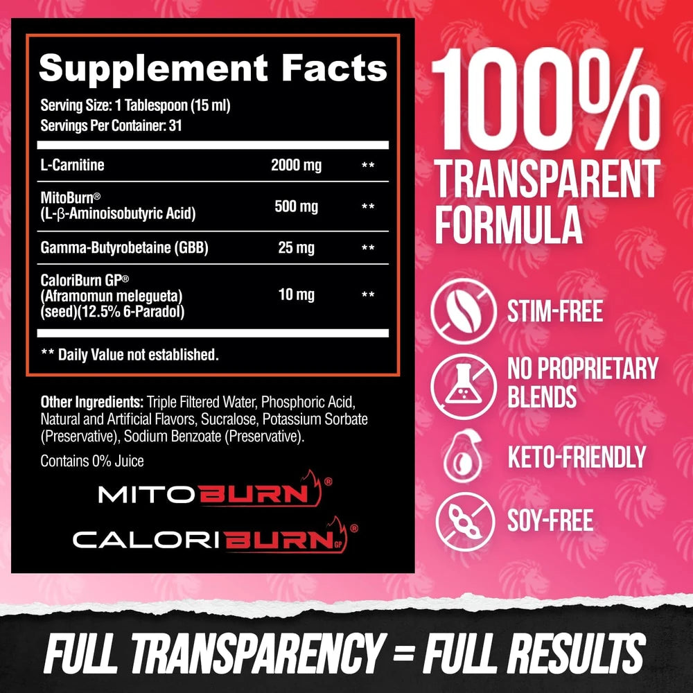 ALPHA LION Burn2O L-Carnitine Liquid 2000mg, Premium Liquid Fat Burner &amp; Pre-Workout Supplement for Men &amp; Women - ShredBerry