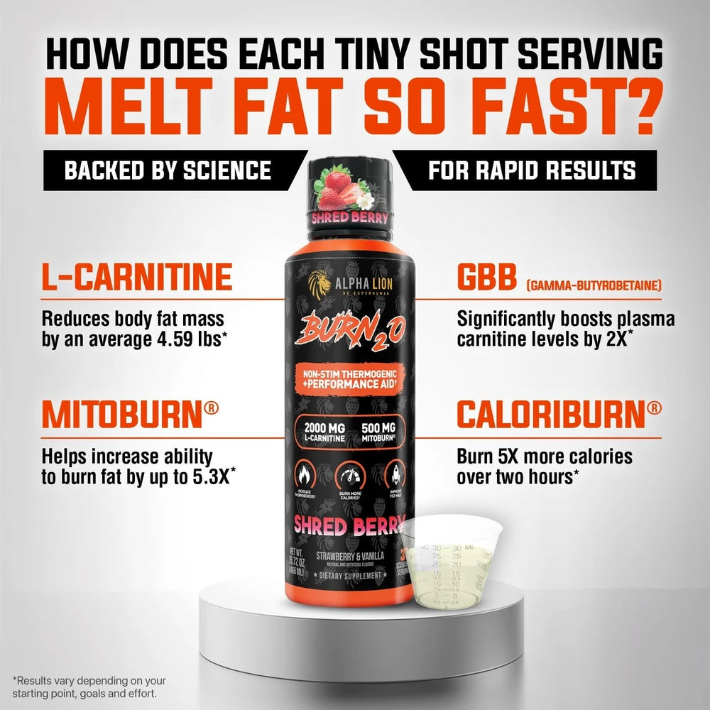 ALPHA LION Burn2O L-Carnitine Liquid 2000mg, Premium Liquid Fat Burner &amp; Pre-Workout Supplement for Men &amp; Women - ShredBerry