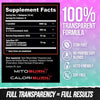 ALPHA LION Burn2O L-Carnitine Liquid 2000mg – Stim Free Super Thermogenic Fat Burner with MitoBurn® &amp; CaloriBurn GP® - Grapezilla