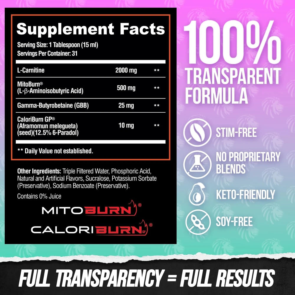 ALPHA LION Burn2O L-Carnitine Liquid 2000mg – Stim Free Super Thermogenic Fat Burner with MitoBurn® &amp; CaloriBurn GP® - Grapezilla