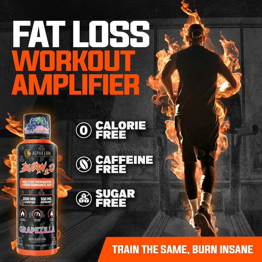ALPHA LION Burn2O L-Carnitine Liquid 2000mg – Stim Free Super Thermogenic Fat Burner with MitoBurn® &amp; CaloriBurn GP® - Grapezilla