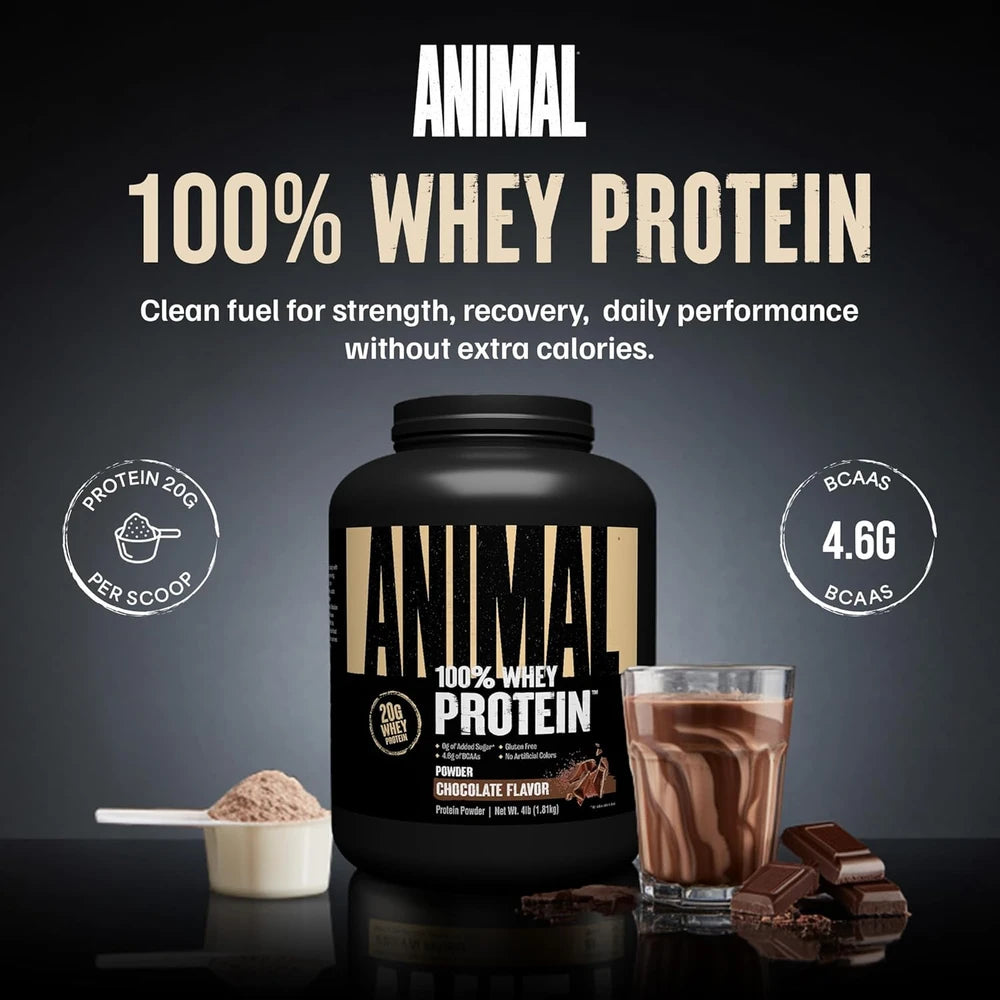 Animal 100% Whey Protein Powder, 20G High Protein | Chocolate 4LB