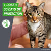 FRONTLINE Plus Flea &amp; Tick Spot Treatment for Cat &amp; Kitten (Green)