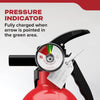 Kidde Basic 110 Fire Extinguisher for Home, 1-A:10-B:C, FA110G, 2 Pack