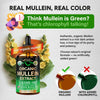 Mullein Drops for Lungs - USDA Organic Mullein Leaf Extract Liquid - 4 oz