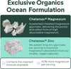 Organics Ocean Pure Magnesium Glycinate Supplement with Zinc, 1 Bottle