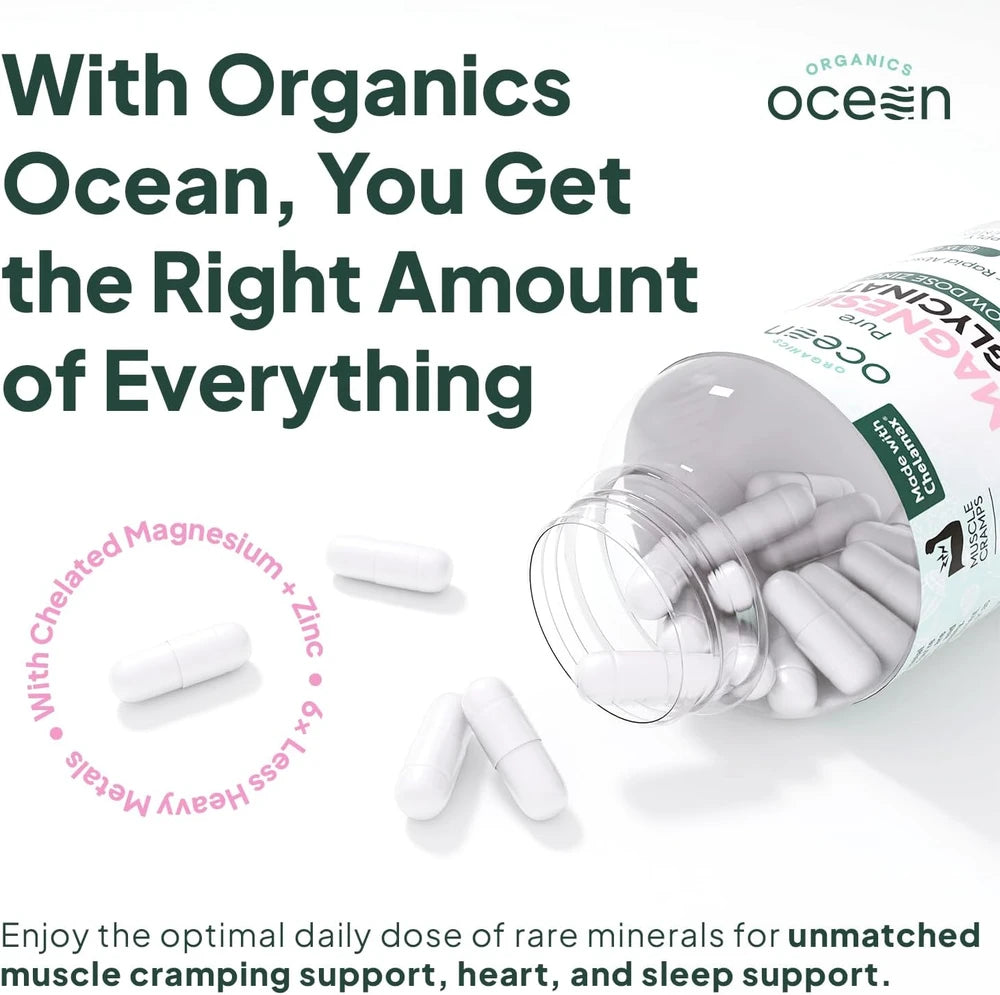 Organics Ocean Pure Magnesium Glycinate Supplement with Zinc, 1 Bottle