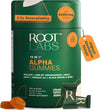 ROOT LABS 10-in-1 Alpha Shilajit Gummies | 400 mg Pure Himalayan Shilajit with Tongkat Ali &amp; Maca Root | Shilajit for Men &amp; Women | ShilAbsorb Bioavailability Tech | Sugar-Free, Vegan | 60 Gummies