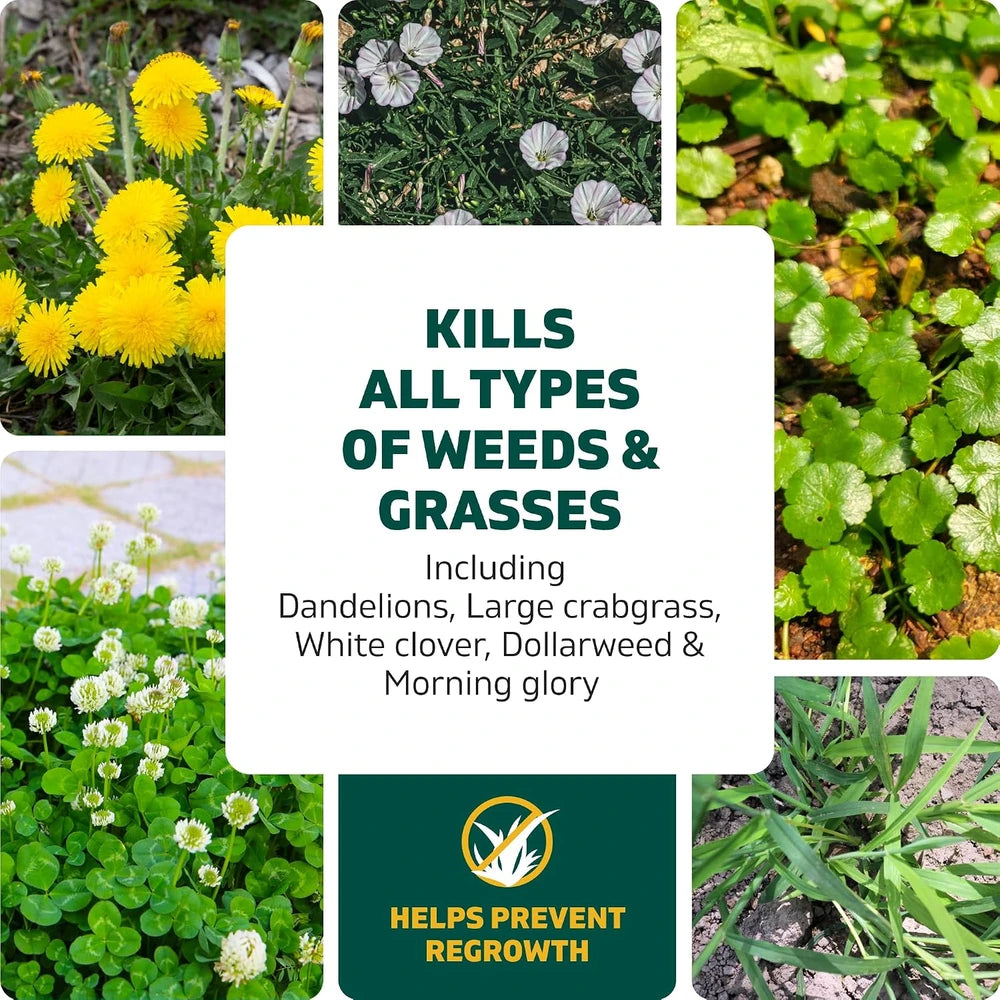 Spruce Weed &amp; Grass Killer₃ Kit, Power Wand, 2 AA Batteries Included, 64 Oz