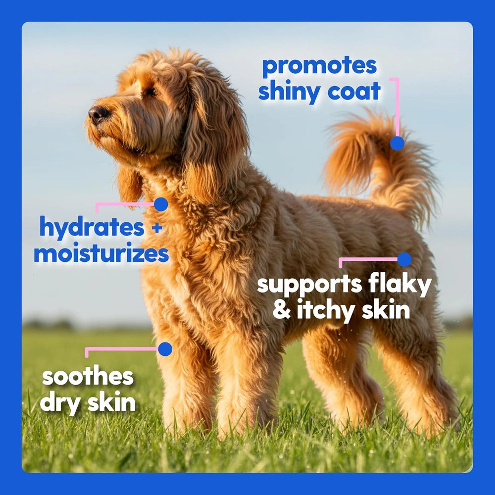 Taily Liquid Collagen for Dogs &amp; Cats, Itch, Coat &amp; Paw Licking Support
