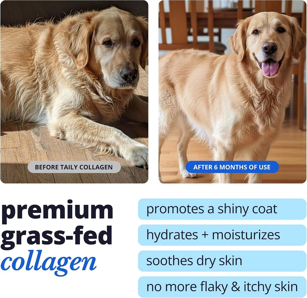 Taily Liquid Collagen for Dogs &amp; Cats, Itch, Coat &amp; Paw Licking Support