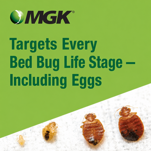 Crossfire Bed Bug Solution